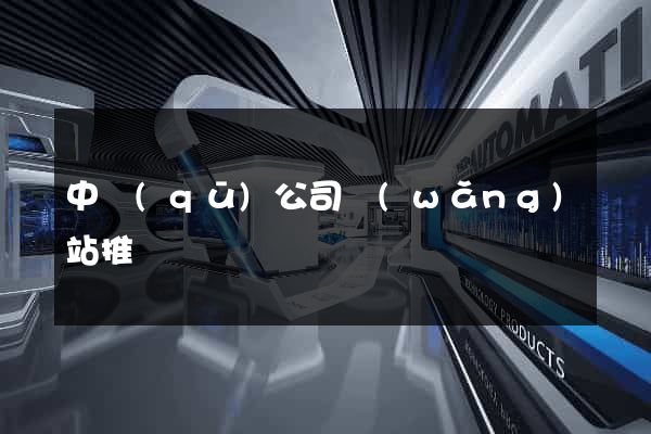 中區(qū)公司網(wǎng)站推廣