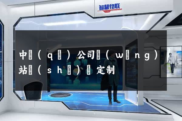 中區(qū)公司網(wǎng)站設(shè)計定制