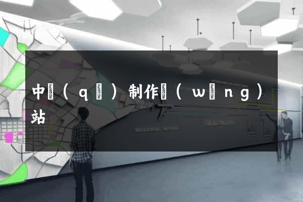 中區(qū)制作網(wǎng)站
