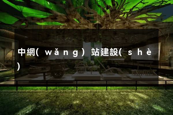 中網(wǎng)站建設(shè)