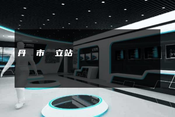 丹陽市獨立站運營