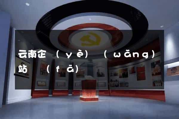 云南企業(yè)網(wǎng)站開發(fā)