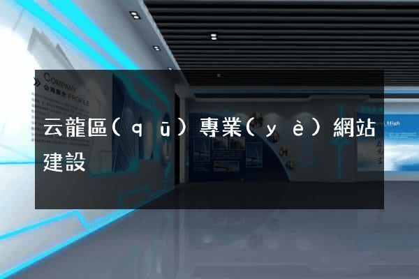 云龍區(qū)專業(yè)網站建設