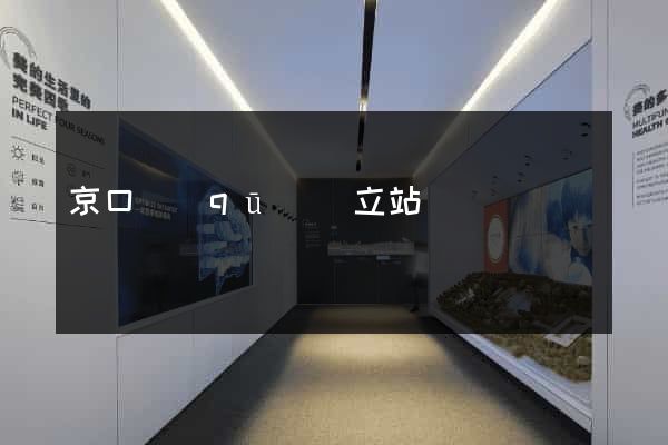 京口區(qū)獨立站運營
