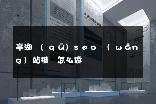 亭湖區(qū)seo網(wǎng)站推廣怎么做