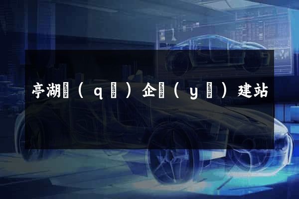 亭湖區(qū)企業(yè)建站