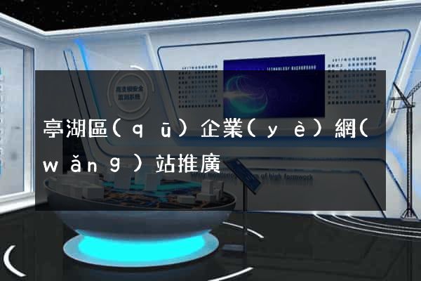 亭湖區(qū)企業(yè)網(wǎng)站推廣