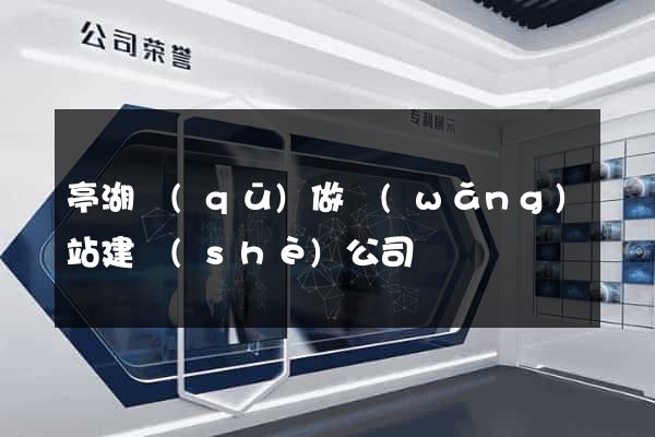 亭湖區(qū)做網(wǎng)站建設(shè)公司