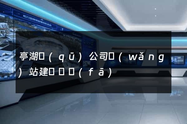 亭湖區(qū)公司網(wǎng)站建設開發(fā)