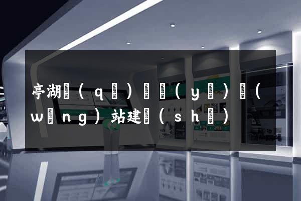 亭湖區(qū)專業(yè)網(wǎng)站建設(shè)