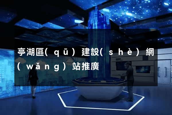 亭湖區(qū)建設(shè)網(wǎng)站推廣