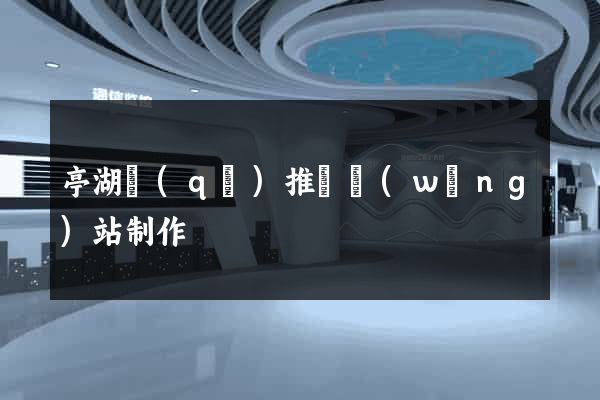 亭湖區(qū)推廣網(wǎng)站制作