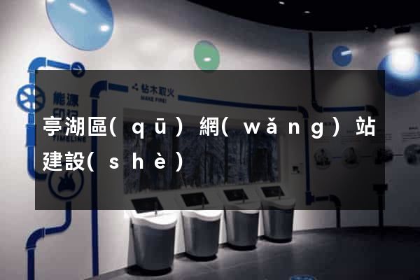 亭湖區(qū)網(wǎng)站建設(shè)