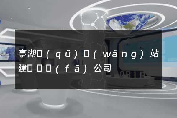 亭湖區(qū)網(wǎng)站建設開發(fā)公司