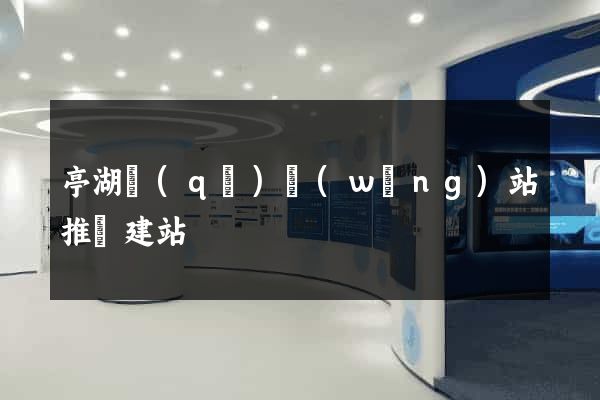 亭湖區(qū)網(wǎng)站推廣建站
