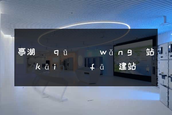 亭湖區(qū)網(wǎng)站開(kāi)發(fā)建站