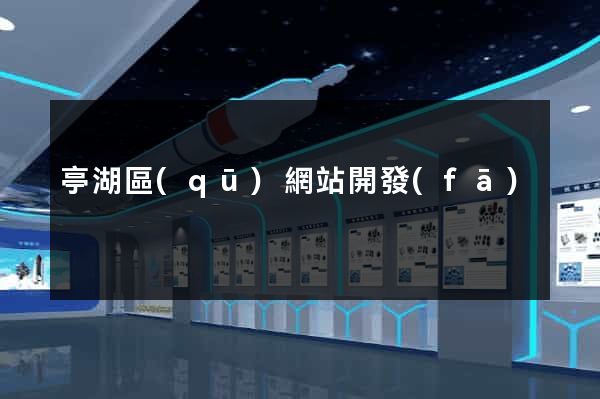 亭湖區(qū)網站開發(fā)
