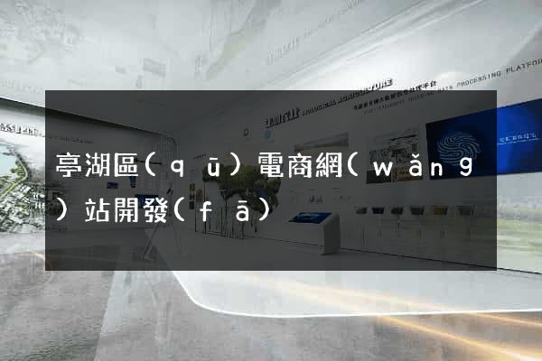 亭湖區(qū)電商網(wǎng)站開發(fā)