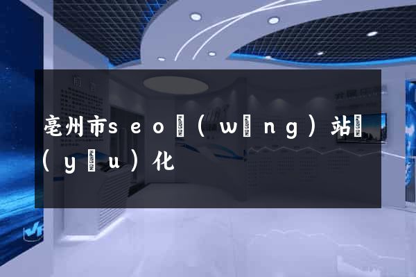 亳州市seo網(wǎng)站優(yōu)化