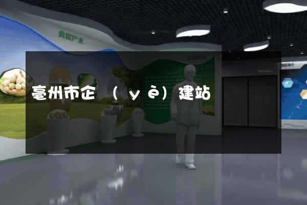亳州市企業(yè)建站