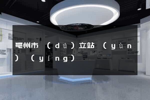 亳州市獨(dú)立站運(yùn)營(yíng)