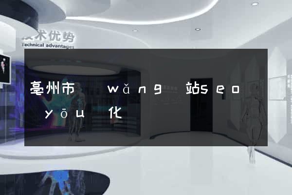 亳州市網(wǎng)站seo優(yōu)化