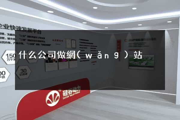 什么公司做網(wǎng)站