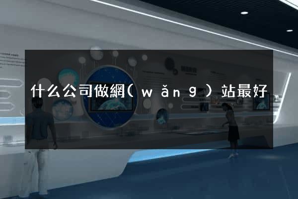 什么公司做網(wǎng)站最好
