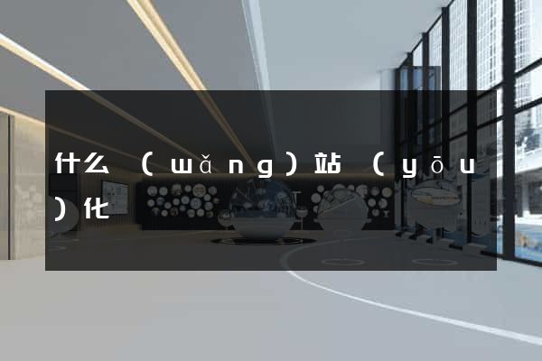 什么網(wǎng)站優(yōu)化