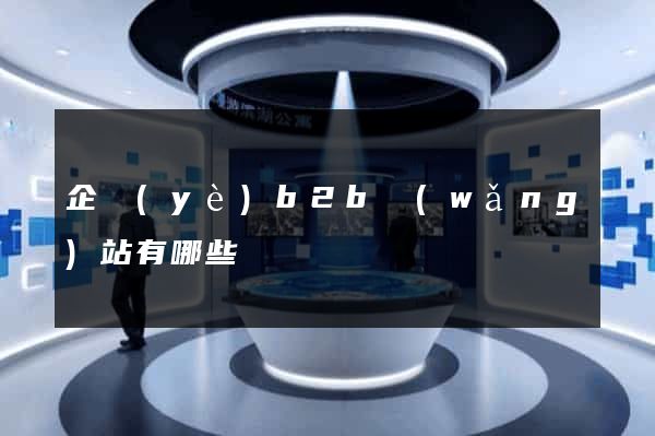 企業(yè)b2b網(wǎng)站有哪些