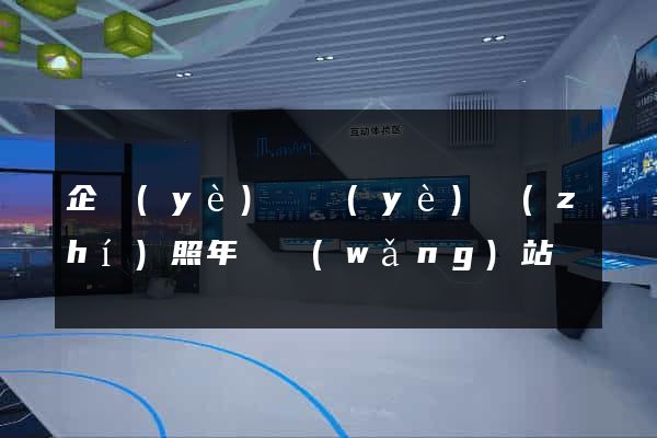 企業(yè)營業(yè)執(zhí)照年審網(wǎng)站