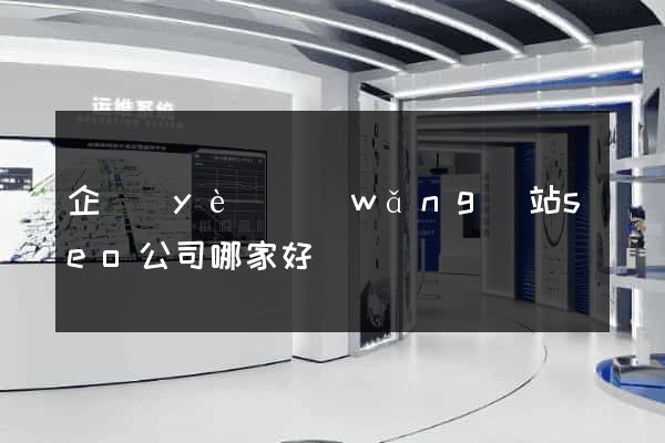 企業(yè)網(wǎng)站seo公司哪家好
