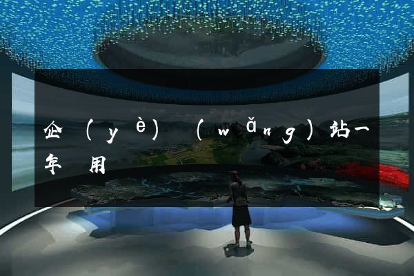 企業(yè)網(wǎng)站一年費用