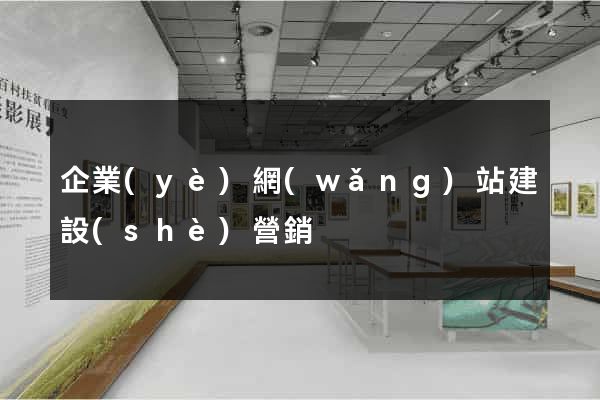企業(yè)網(wǎng)站建設(shè)營銷