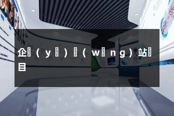 企業(yè)網(wǎng)站項目