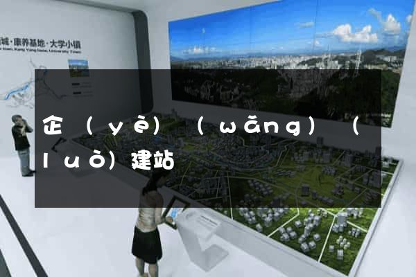 企業(yè)網(wǎng)絡(luò)建站