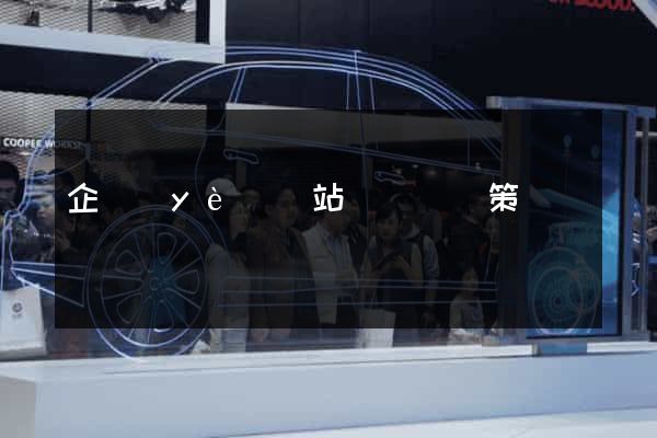 企業(yè)網站網絡營銷策劃