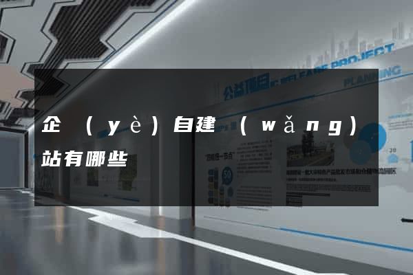 企業(yè)自建網(wǎng)站有哪些