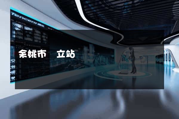 余姚市獨立站運營