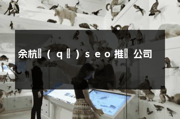 余杭區(qū)seo推廣公司