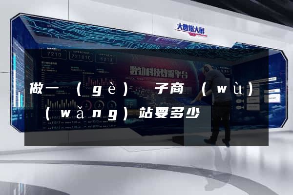 做一個(gè)電子商務(wù)網(wǎng)站要多少錢