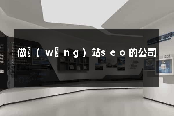 做網(wǎng)站seo的公司