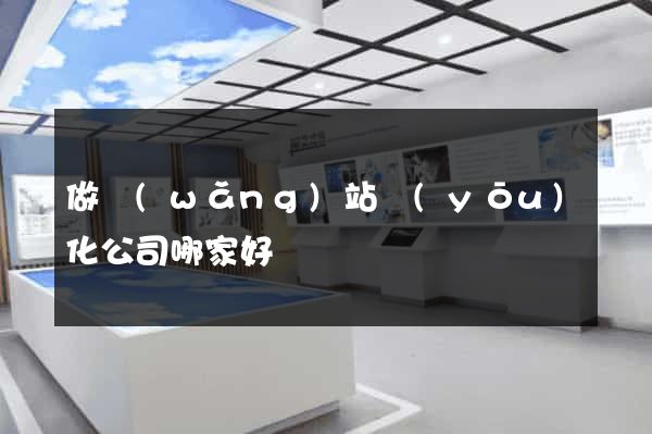 做網(wǎng)站優(yōu)化公司哪家好