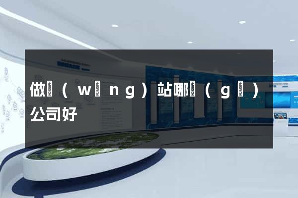 做網(wǎng)站哪個(gè)公司好