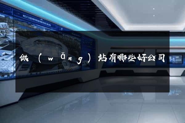 做網(wǎng)站有哪些好公司