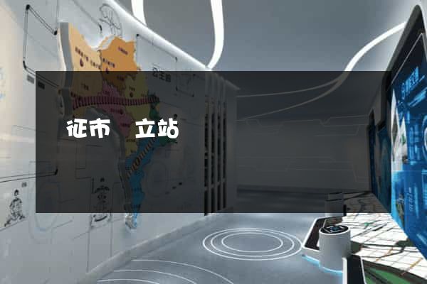 儀征市獨立站運營