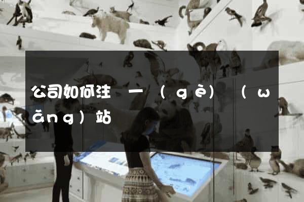 公司如何注冊一個(gè)網(wǎng)站