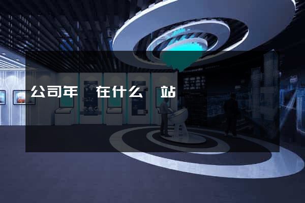 公司年報在什么網站