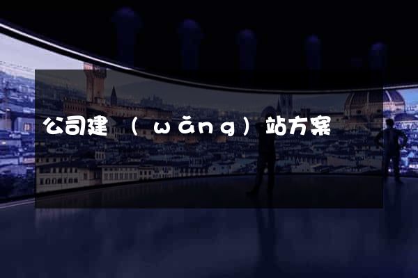 公司建網(wǎng)站方案