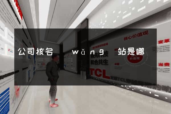 公司核名網(wǎng)站是哪個
